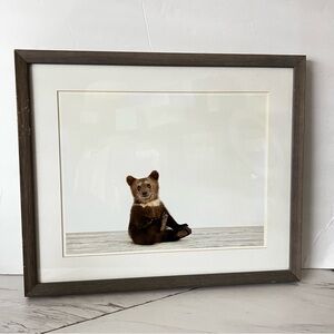 Restoration Hardware Baby Animal Portrait Bear Weathered Grey Frame Brown HR